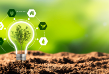 What is a Recent Trend Relating to Sustainability Worldwide : Eco-Friendly Innovations Unveiled