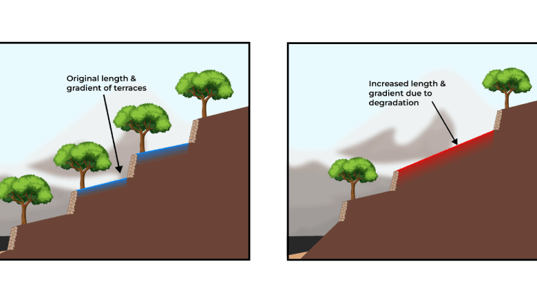 What Steps Can Be Taken to Control Soil Erosion in the Hilly Areas