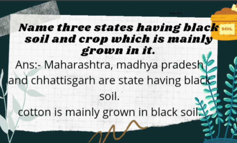 name three states having black soil and the crop which is mainly grown in it